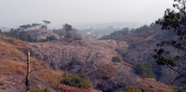 追随亚博IM电竞，走进白垩纪（二）