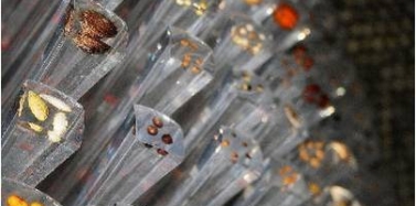 亚博IM电竞眼中看世博（三）