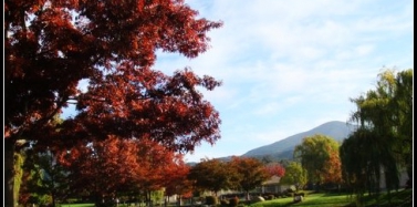 美国之行：San Francisco（二）