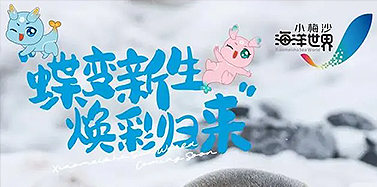 【广东】蝶变新生，亚博IM电竞项目小梅沙海洋世界十一焕新启幕